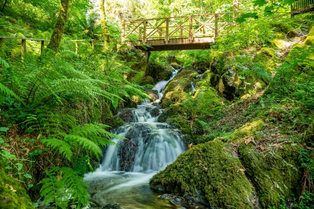 Canonteign Falls, Dartmoor National Park