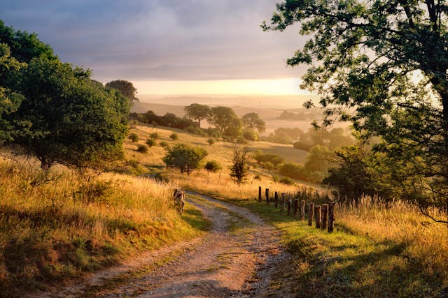Chiltern Hills ANOB