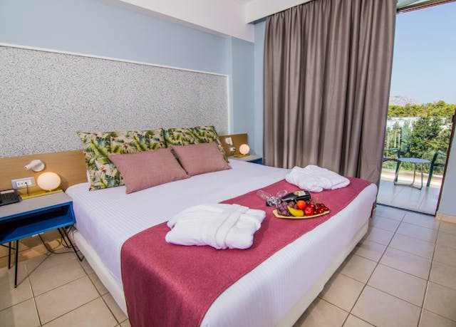 Deluxe Double room with garden or pool view