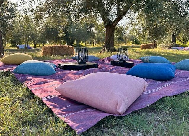 Picknick unter Olivenbäumen - optionales Extra