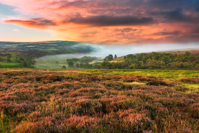 North Yorkshire Moors