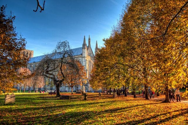 Winchester