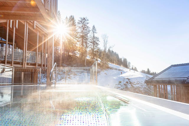 Superior-Chalet mit 5 Schlafzimmern, Sauna und Pool