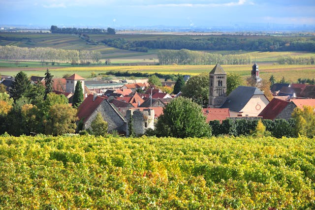 Gundersheim