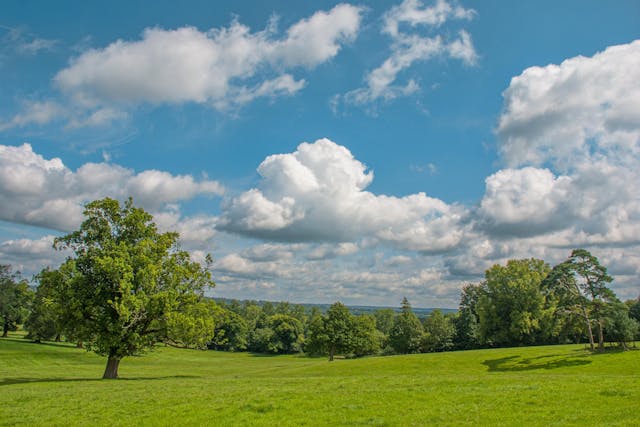 South Downs National Park