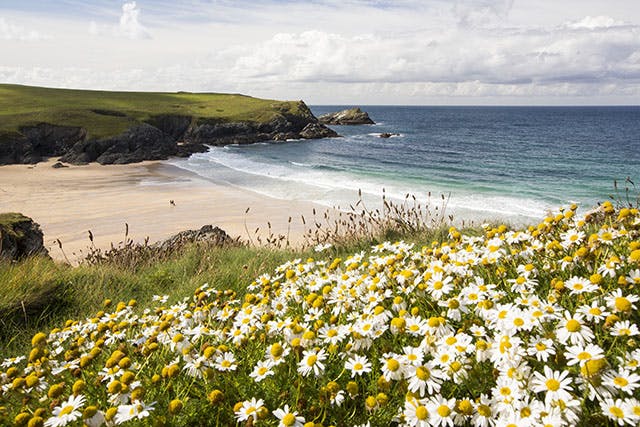 Pentire Point
