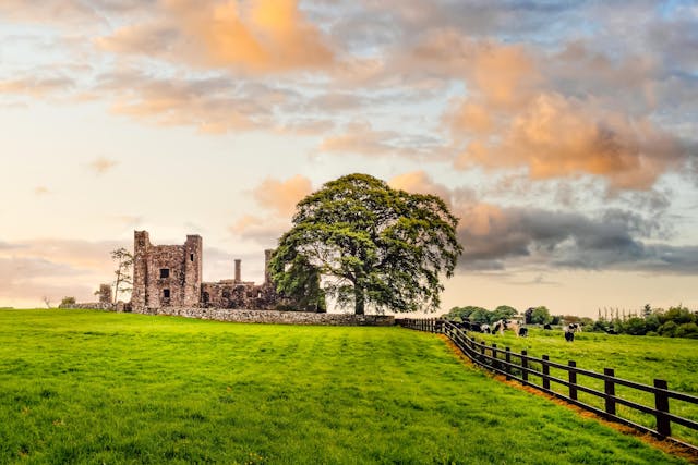 Bective Abbey