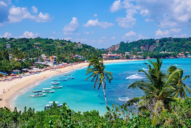 Galle