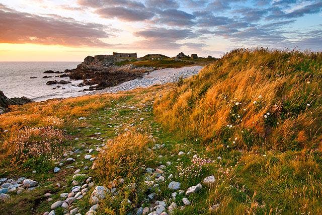 Guernsey