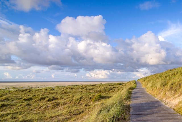 Borkum