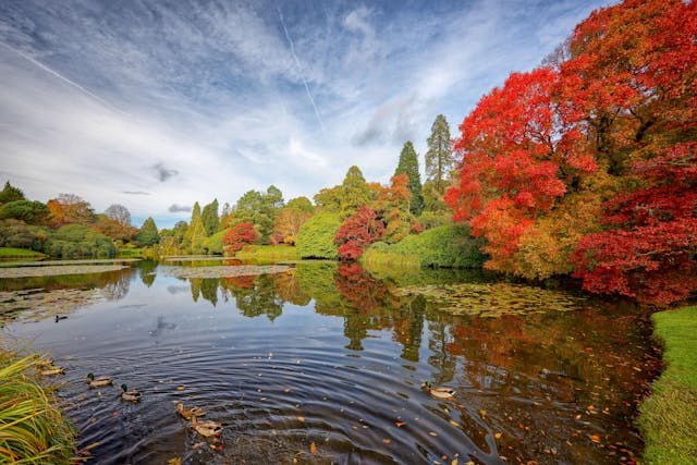 Sheffield Park, Uckfield