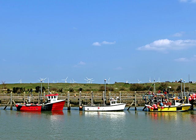 Rye Harbour