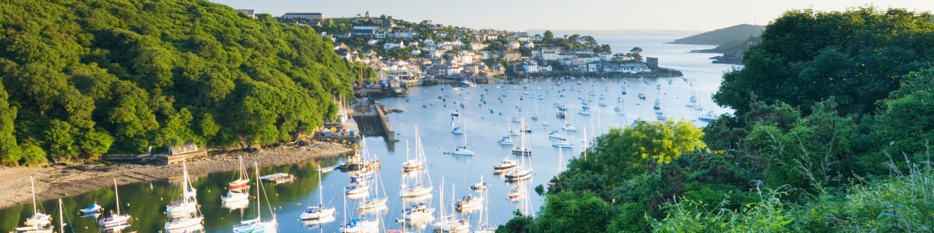 Hill top view of bay with boats