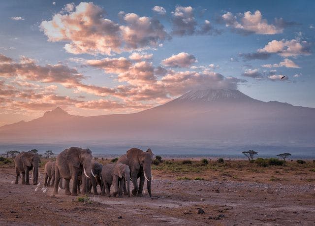 Parco nazionale di Amboseli
