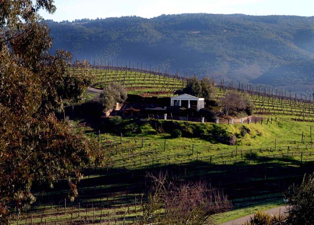 Luxury Glamping Escape – TerraVelo Luxury Glamping Escape – TerraVelo