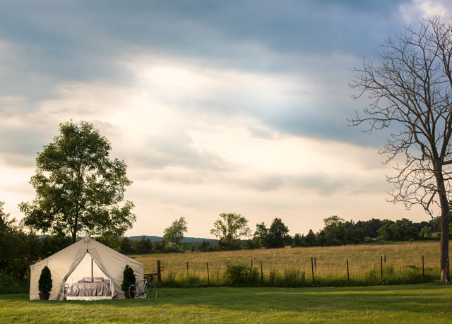 Luxury Glamping Escape – TerraVelo Luxury Glamping Escape – TerraVelo