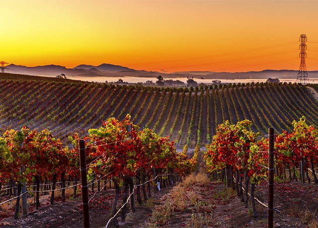 Idyllic Private Cottages In Napa Wine Country Save Up To 70 On