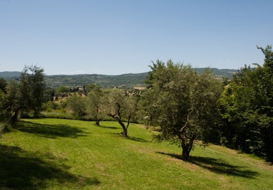 Il Patriarca Save Up To 60 On Luxury Travel Secret Escapes