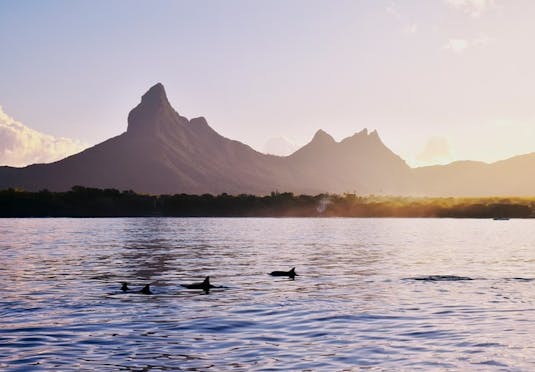 Inselgluck Auf Mauritius Sparen Sie Bis Zu 70 Auf Luxusreisen