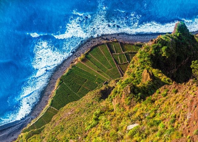 The best of Madeira with ca...